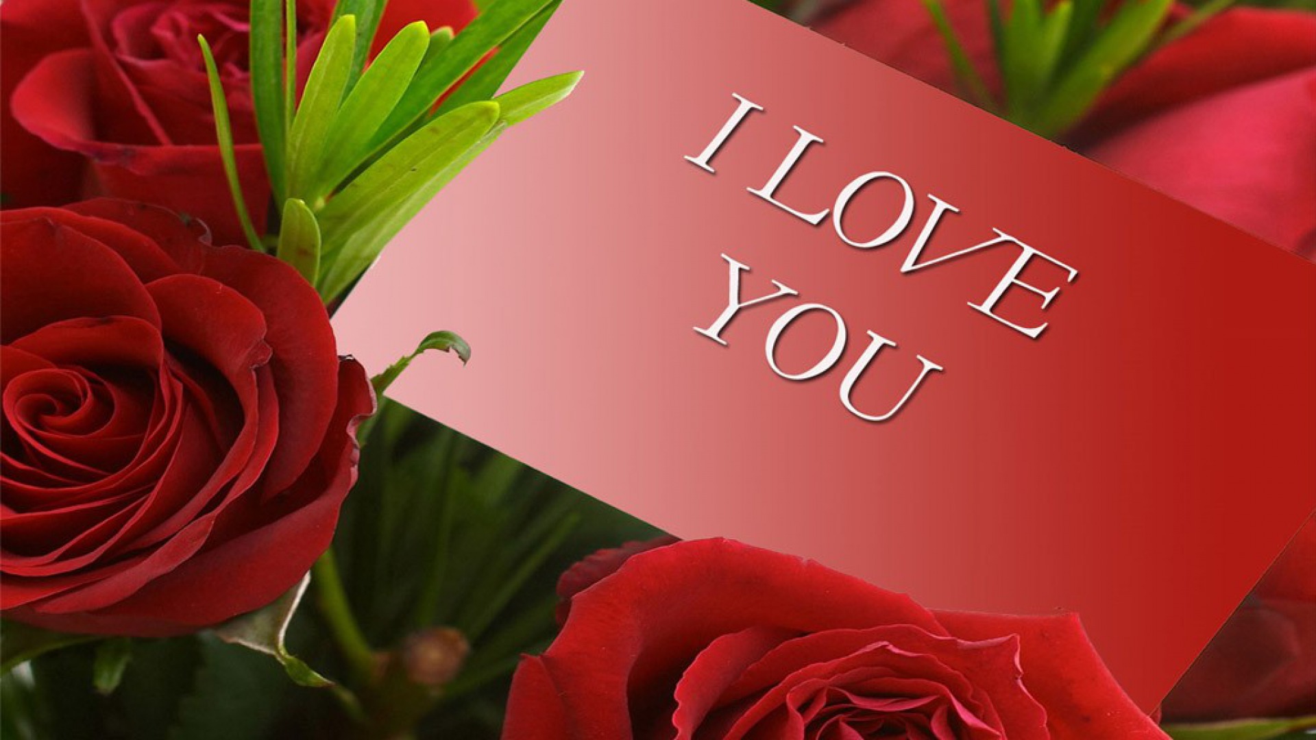 Love You Hd Images Download - 1920x1080 Wallpaper 