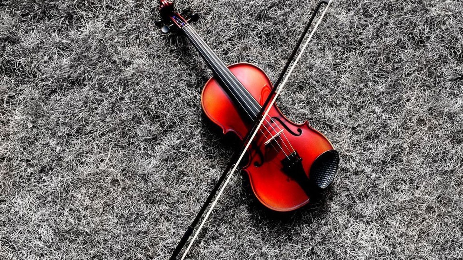 1920x1080, Free Download Beautiful Violin Wallpapers - Beautiful Violin Wallpaper Hd - HD Wallpaper 