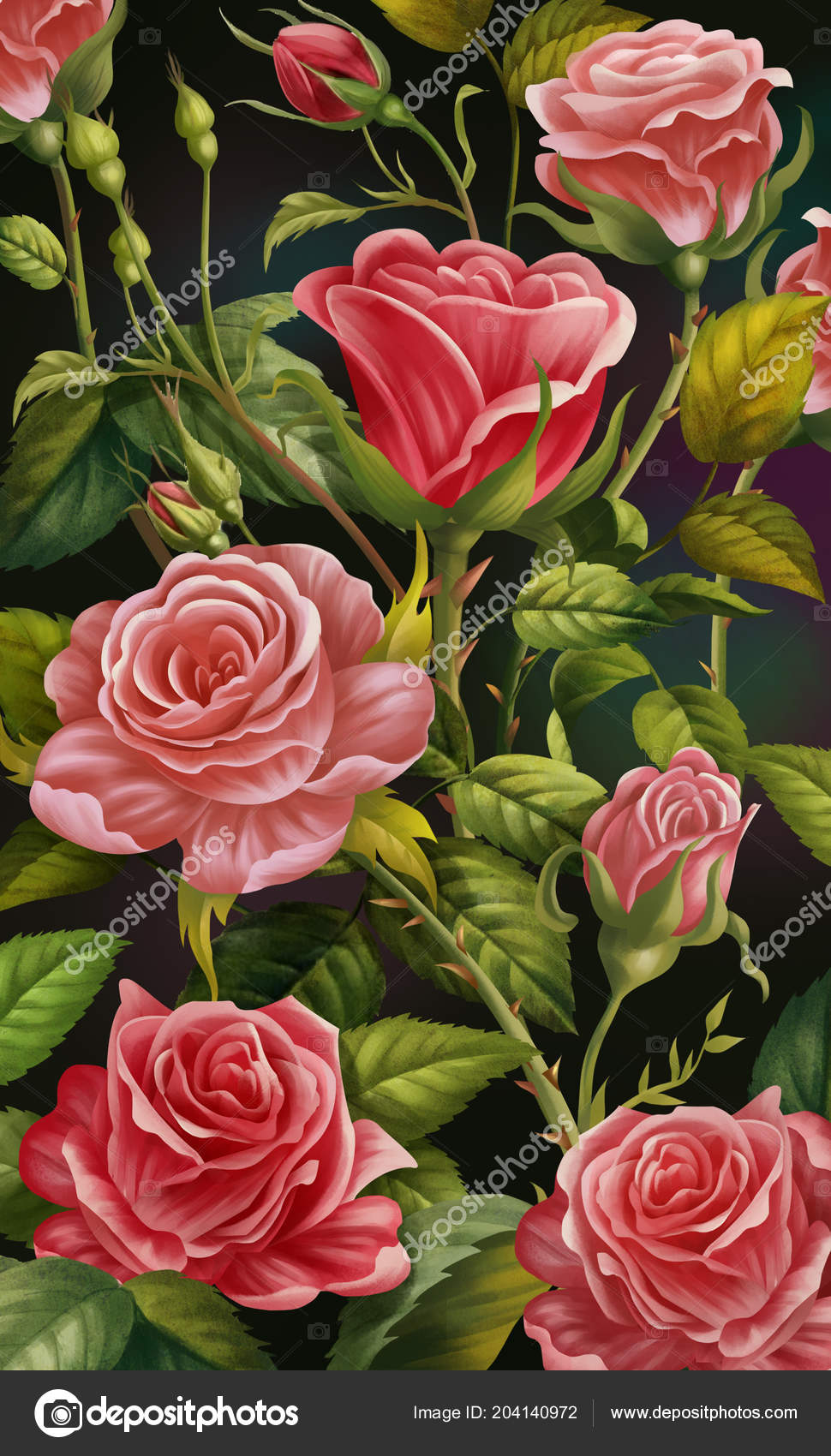 Rose Photos Wallpaper - HD Wallpaper 