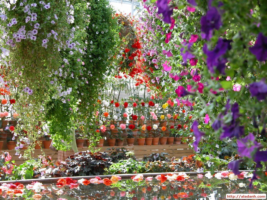 Beautiful Wallpapers Of Flower Gardens - HD Wallpaper 