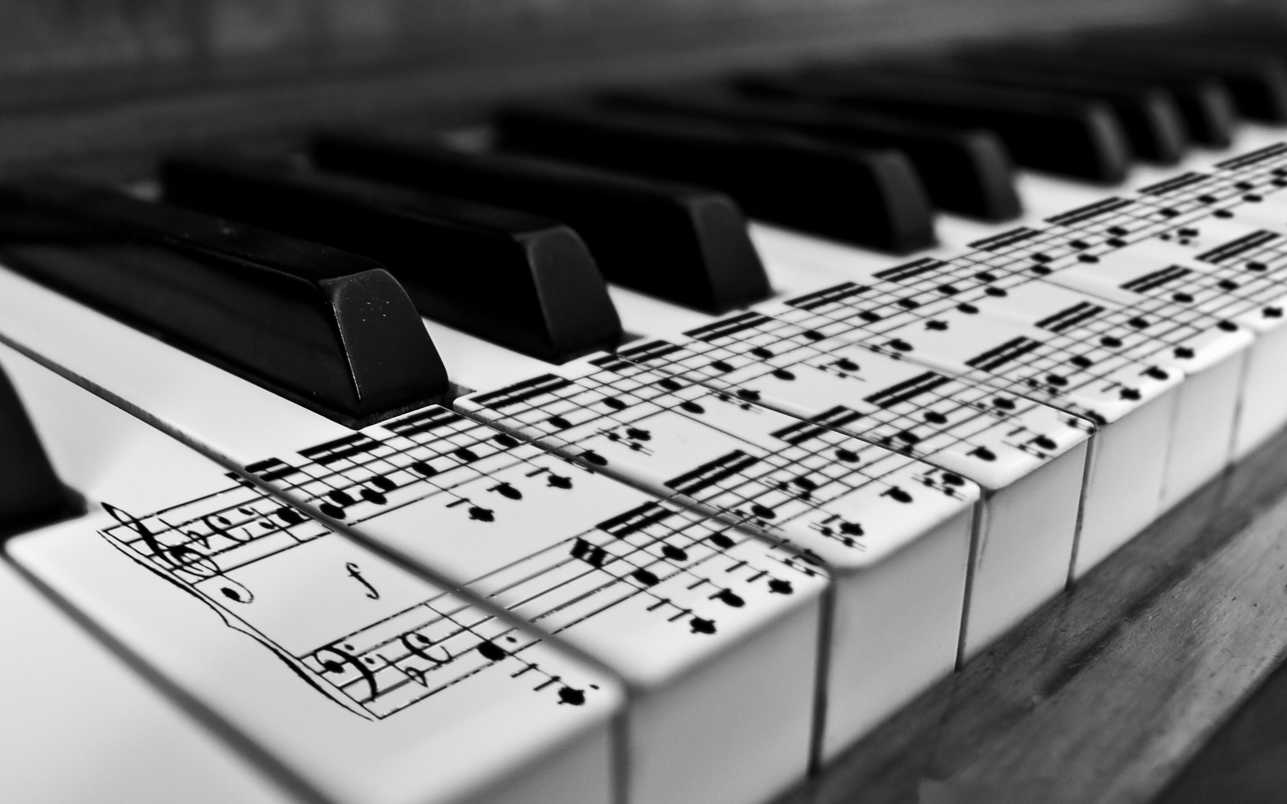 2560x1600, Piano Wallpaper Photos Wide For Iphone Hd - Piano Wallpaper Hd - HD Wallpaper 