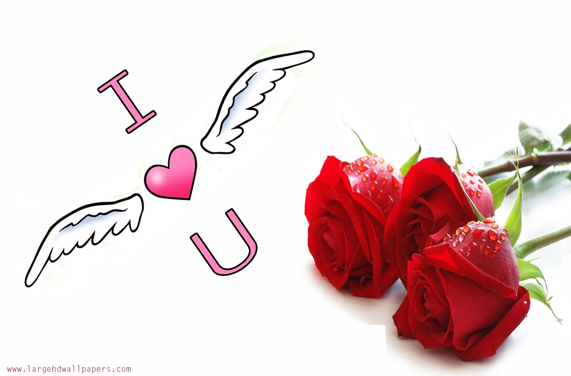 Red Rose Wallpaper I Love U Hd Wallpaper I Love You Love You Rose Photo Hd 00x13 Wallpaper Teahub Io