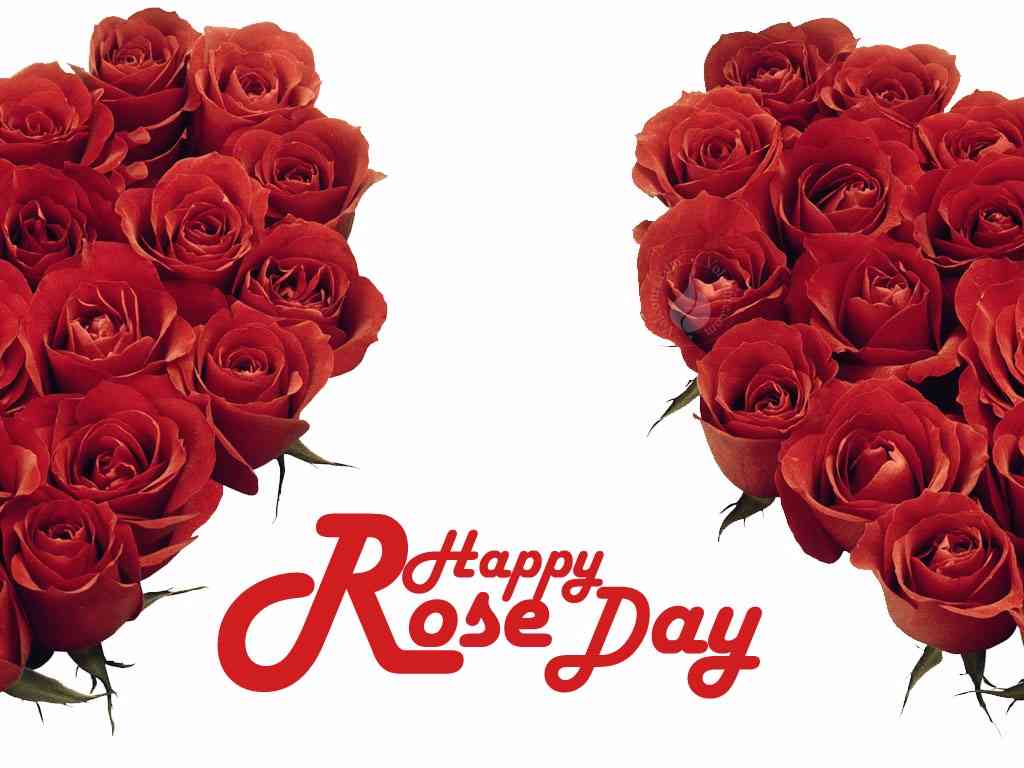 Happy Rose Day Wallpaper - Full Hd Happy Rose Day - 1024x768 Wallpaper -  