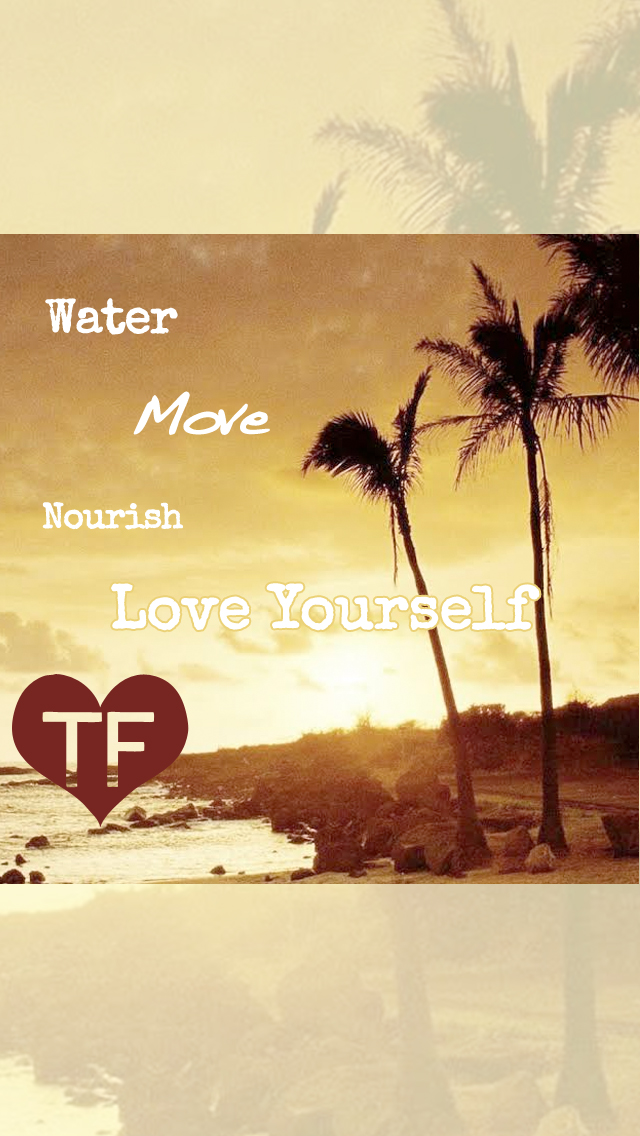 Attalea Speciosa - HD Wallpaper 