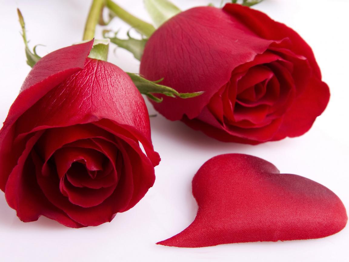 World S Top 100 Beautiful Flowers Images Wallpaper - Valentines Day Images Rose - HD Wallpaper 