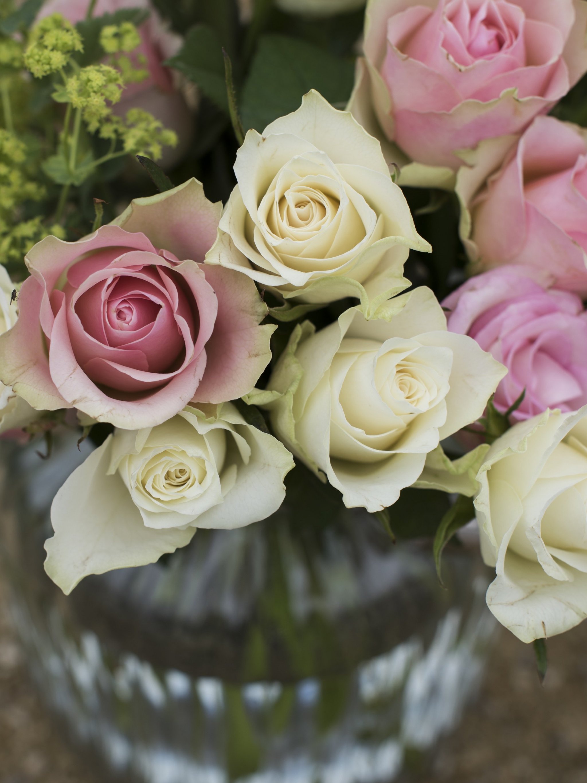 Hd Wallpapers Portrait Flowers - 2048x2732 Wallpaper - teahub.io