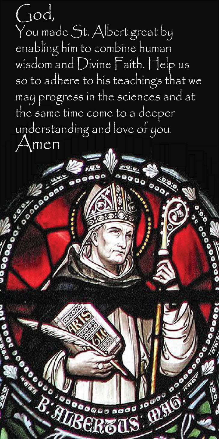 Albert, Novera, Science, Religion, Catholic, Hd Wallpaper - Saint Albert Stained Glass - HD Wallpaper 