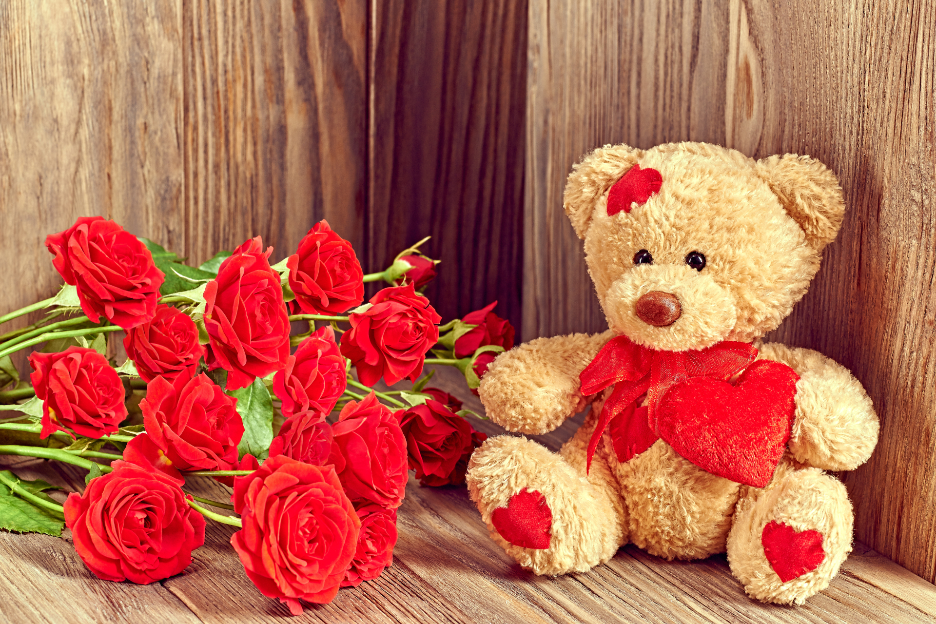 Red Roses Cute Teddy Bear Picture Background Wallpaper - Cutest Wallpaper Of Teddy Bear - HD Wallpaper 