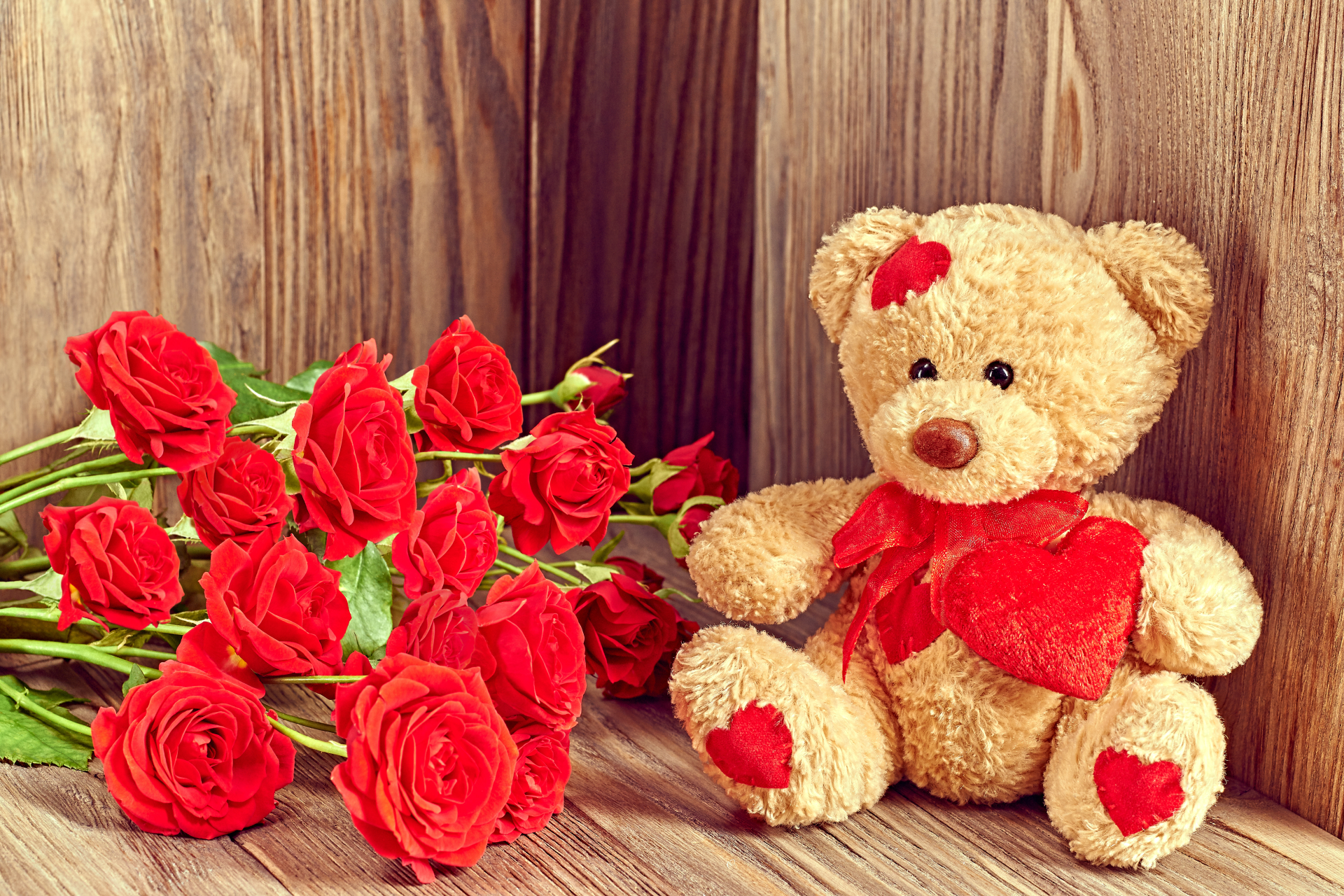 Red Roses Cute Teddy Bear Picture Background Wallpaper Cutest Wallpaper Of Teddy Bear 19x1280 Wallpaper Teahub Io