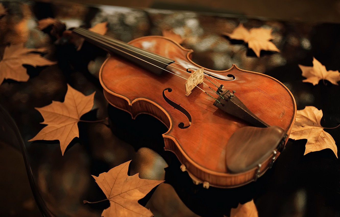 Photo Wallpaper Autumn, Leaves, Violin - Autumn Violin - HD Wallpaper 