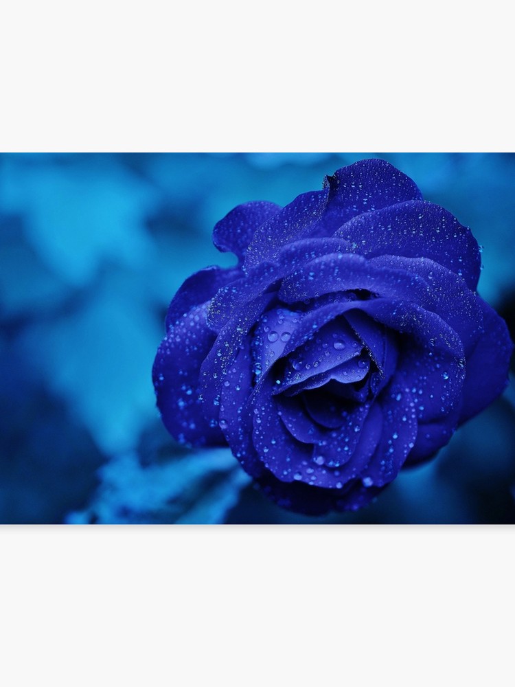 Midnight Blue Colour Palette - HD Wallpaper 