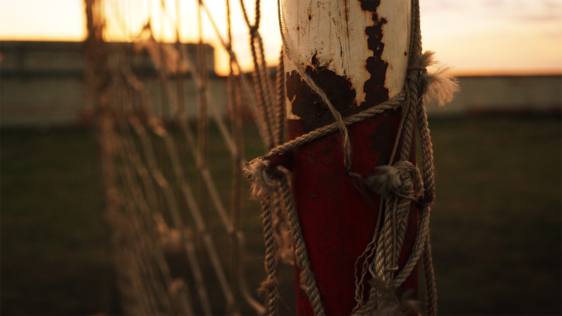 Wallpaper - Depth Of Field Rust - HD Wallpaper 