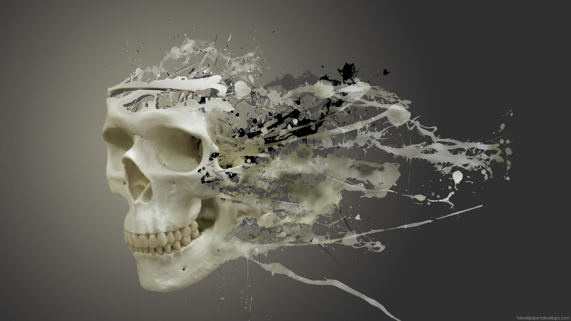Disintegrating Skull - HD Wallpaper 