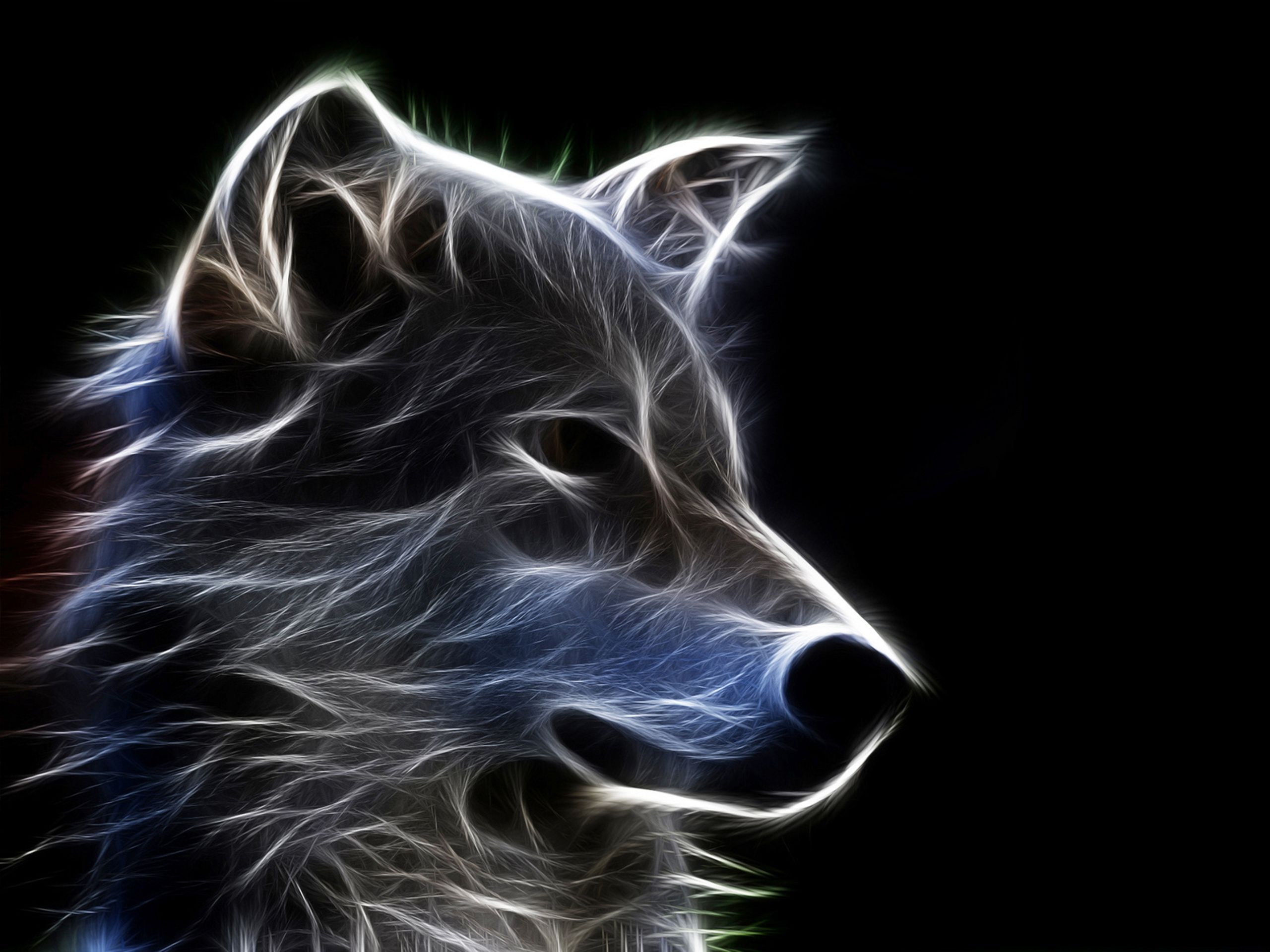 Wolf Wallpaper Hd - HD Wallpaper 