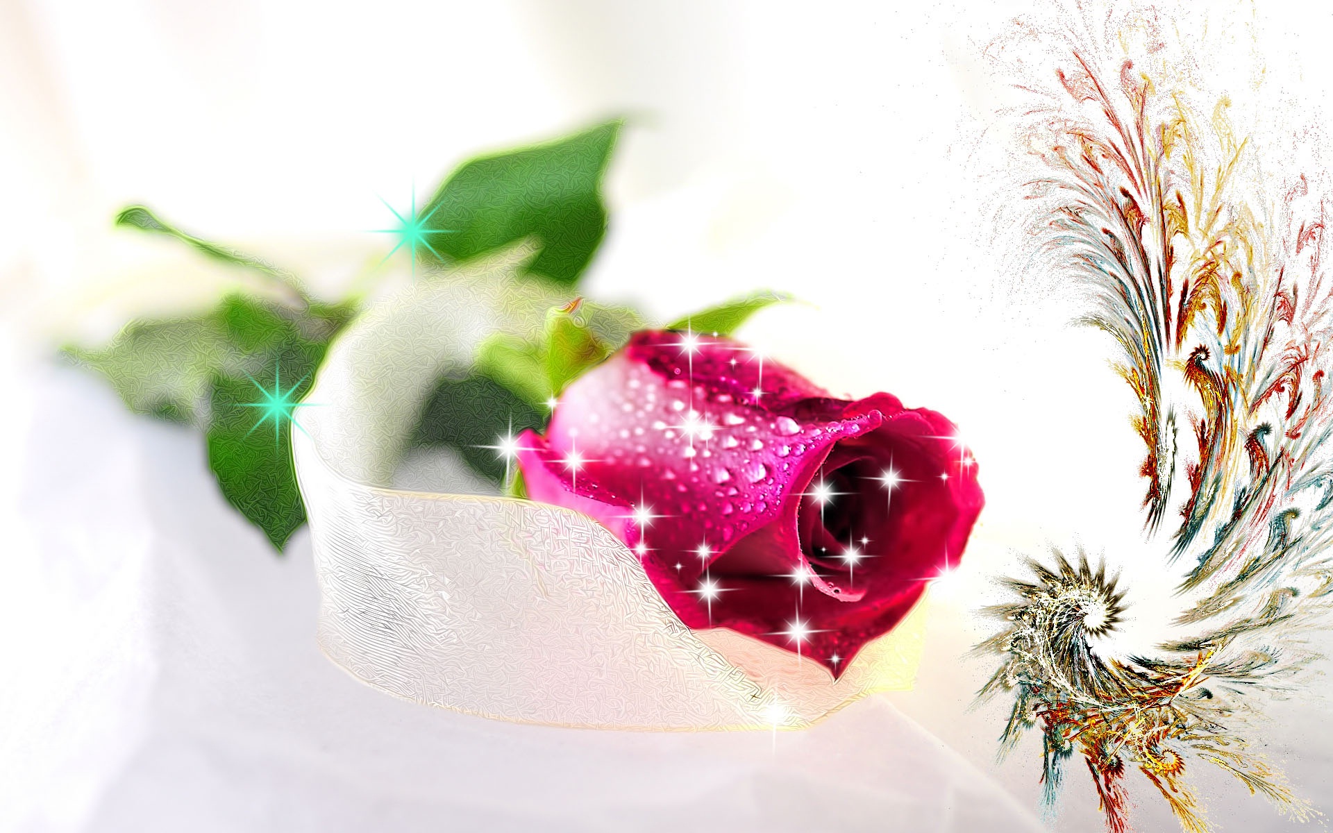 Love Rose Wallpapers 4k - 1920x1200 Wallpaper Love Rose Wallpapers 4k - 1920x1200 Wallpaper