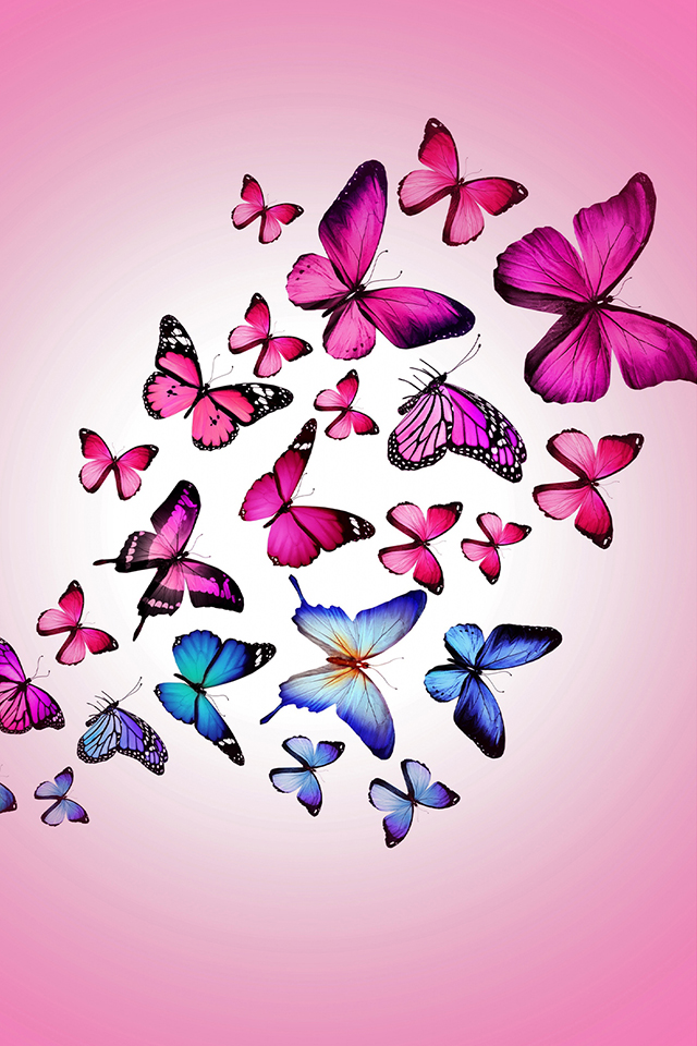 Pink Butterflies Wallpaper - Iphone Butterfly Wallpaper Hd - HD Wallpaper 
