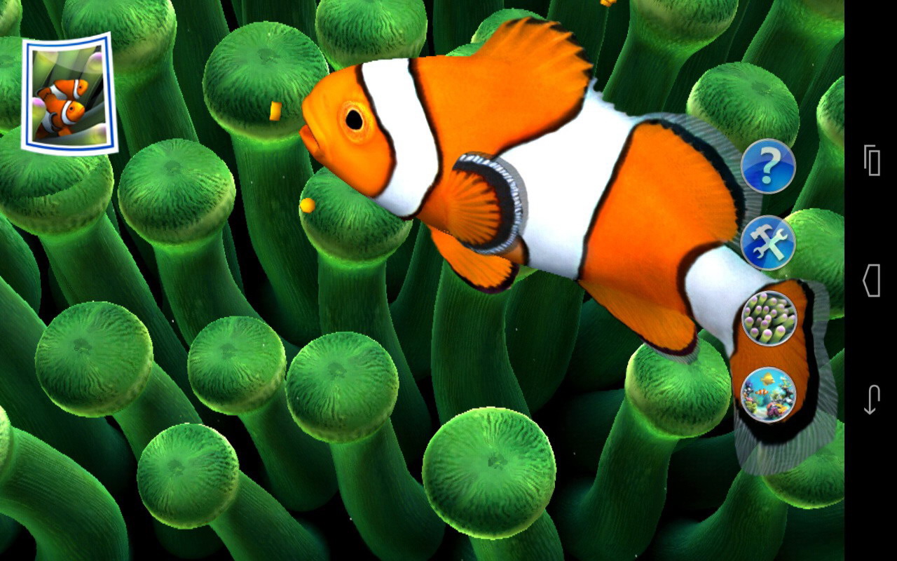 Sim Aquarium - Coral Reef Fish - HD Wallpaper 