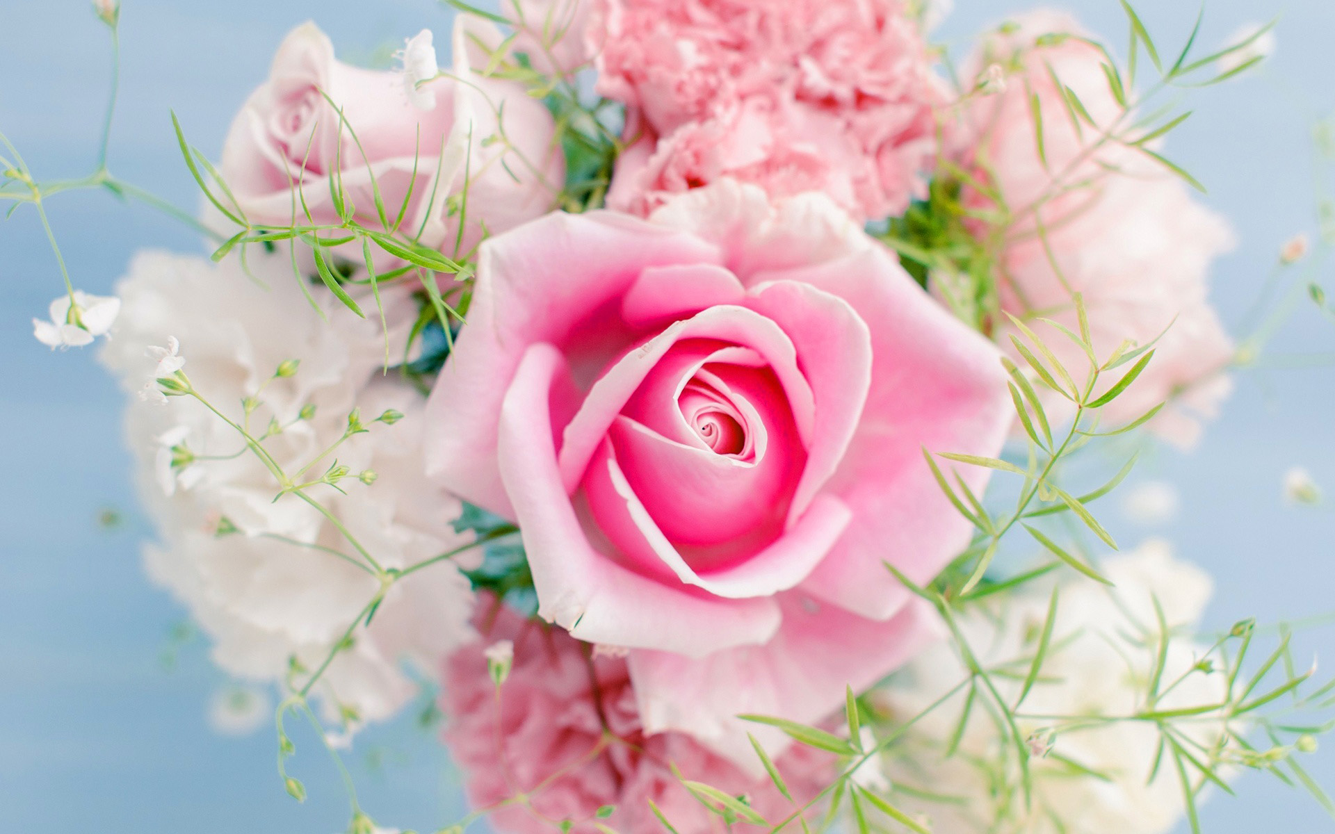 Light Colored Flower Pink - HD Wallpaper 