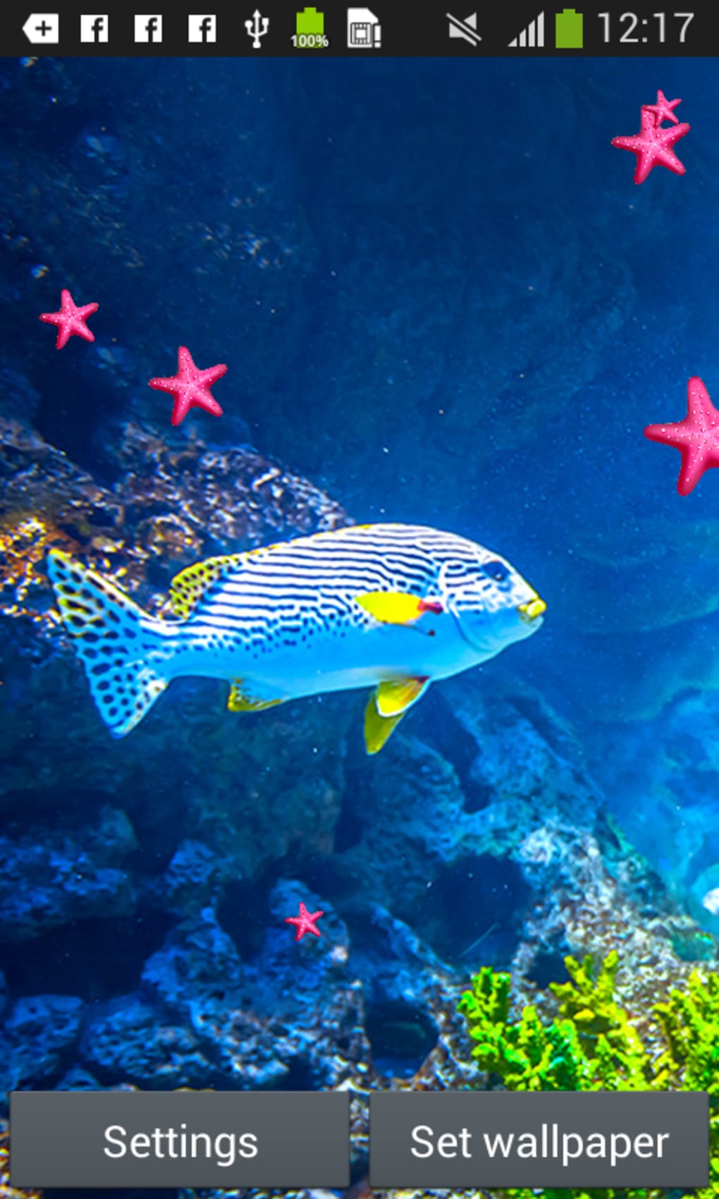 Fish Live Wallpapers - Fondos De Pantalla De Navidad - HD Wallpaper 