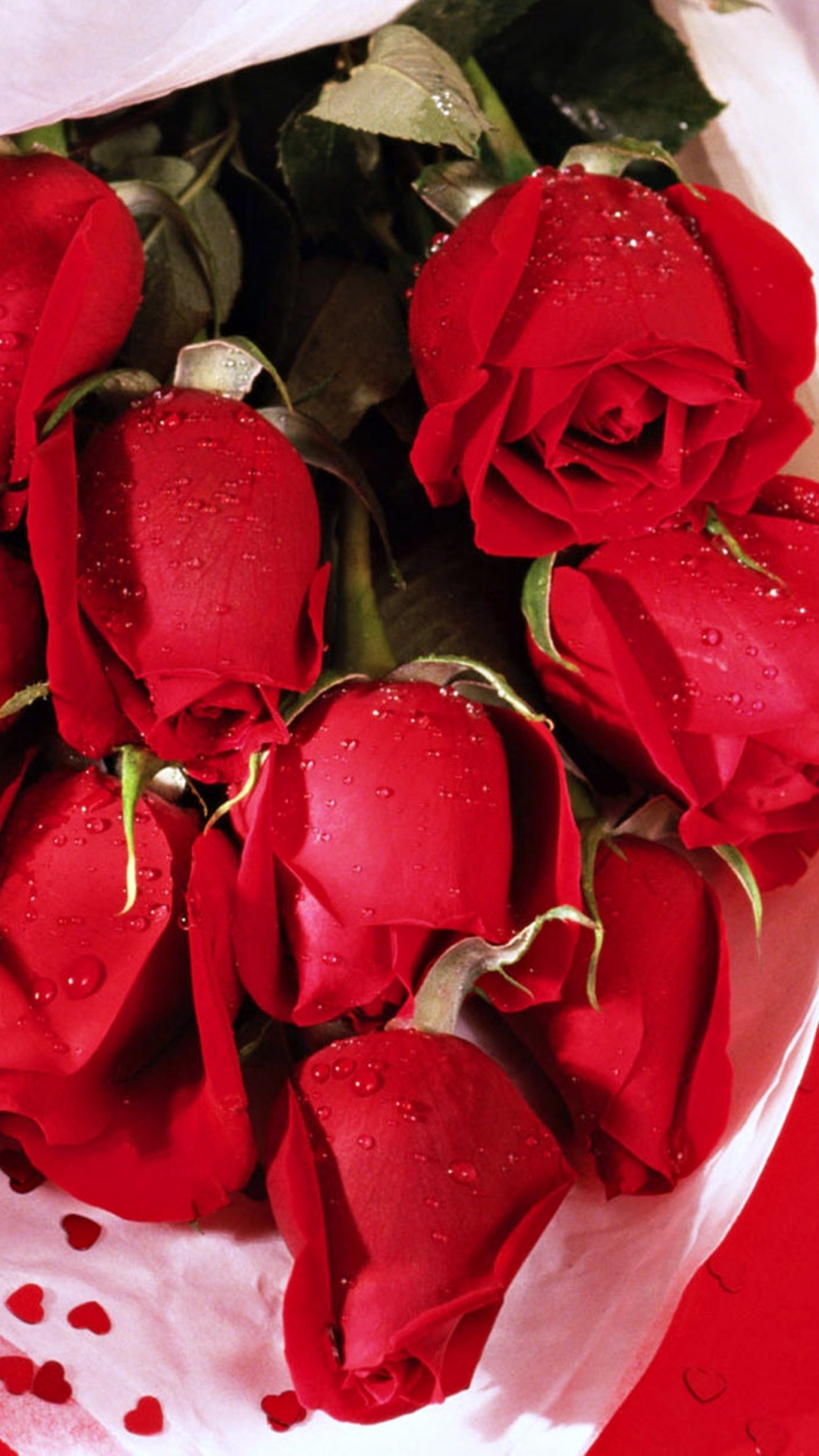 Featured image of post Red Roses Hd Wallpapers For Mobile