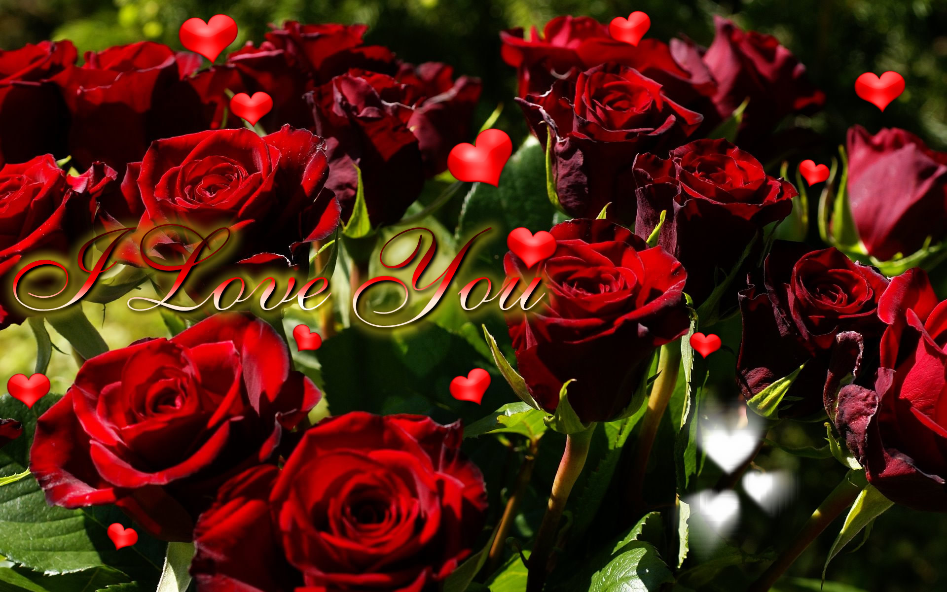 Roses Image With Love - HD Wallpaper 