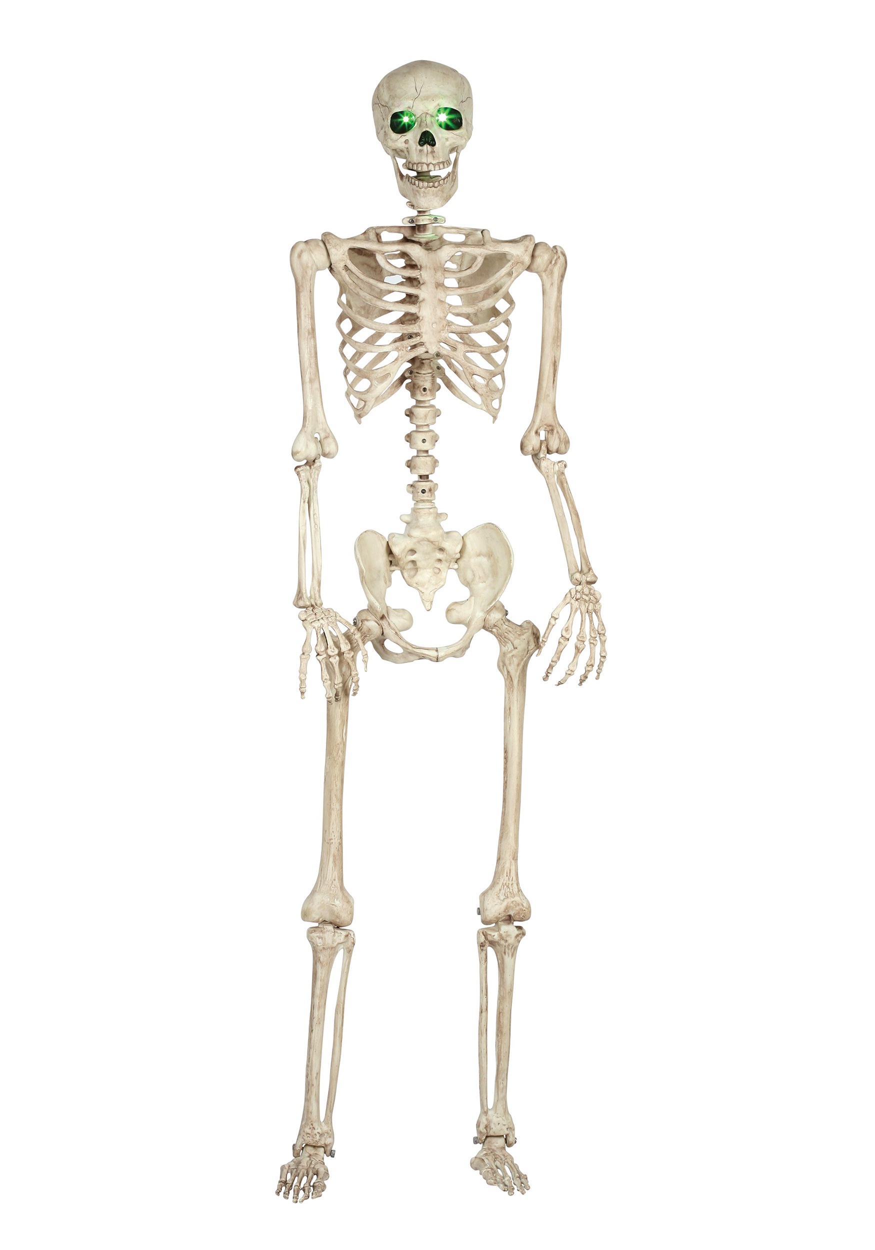 Parts Human Body - HD Wallpaper 