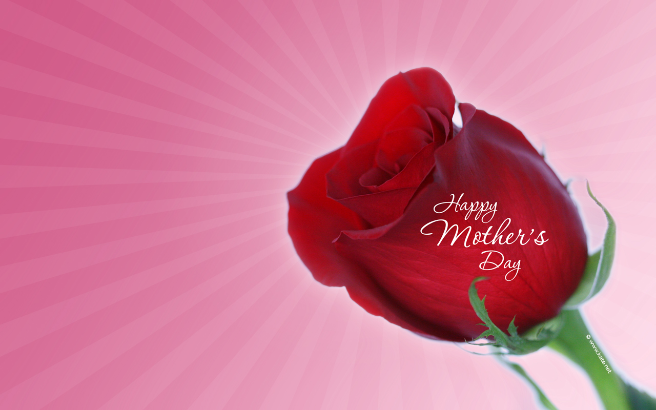 Mother S Day - Free Mother's Day Background - HD Wallpaper 