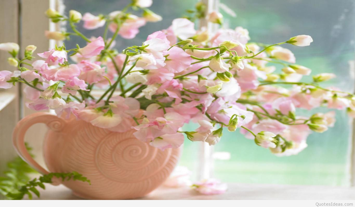 Spring Flower Vase Hd - HD Wallpaper 