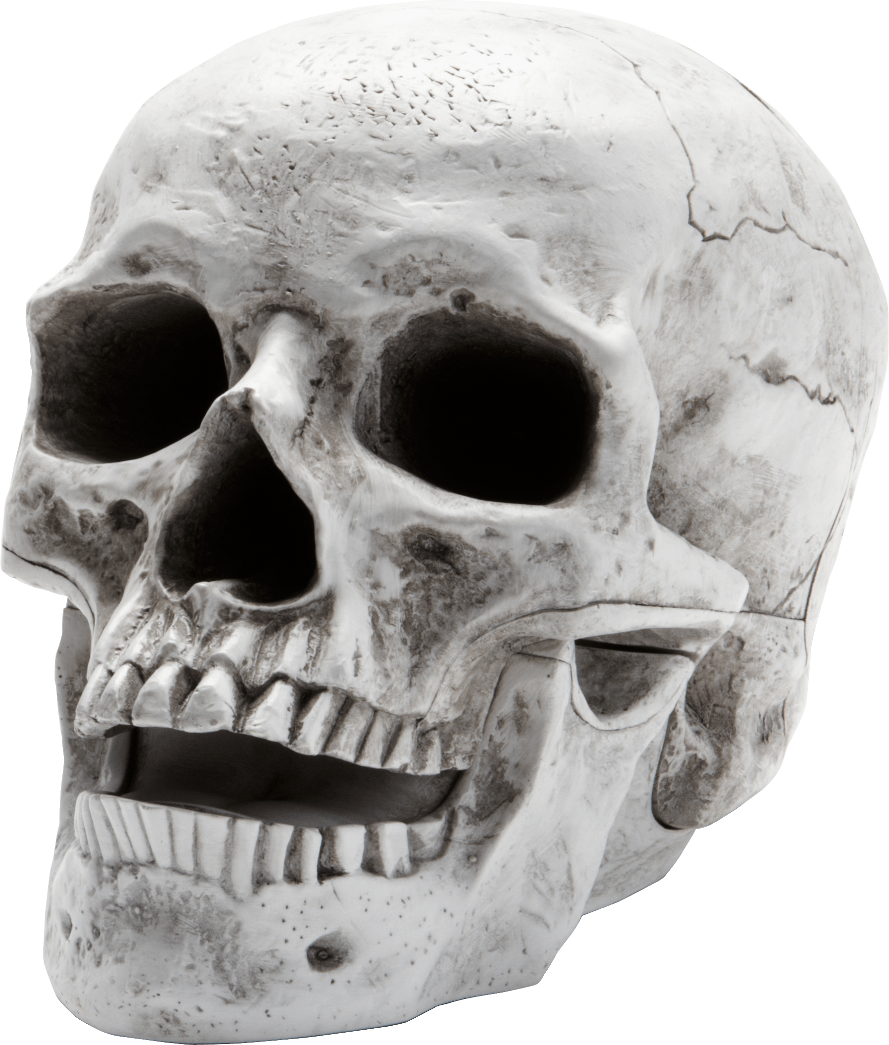 Skull Png Image Png Download - Skeleton Head No Background - HD Wallpaper 