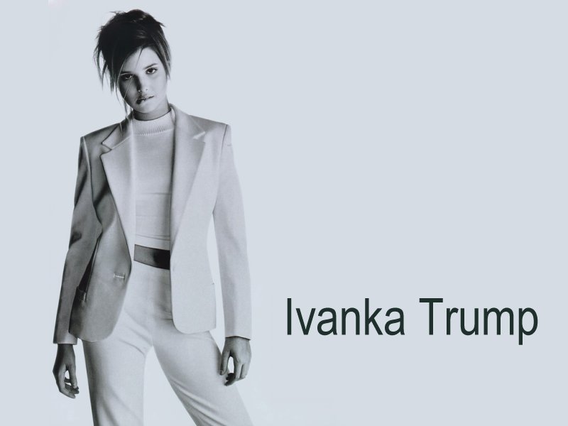 Tuxedo - HD Wallpaper 