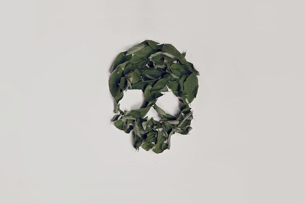 Asparagus - HD Wallpaper 