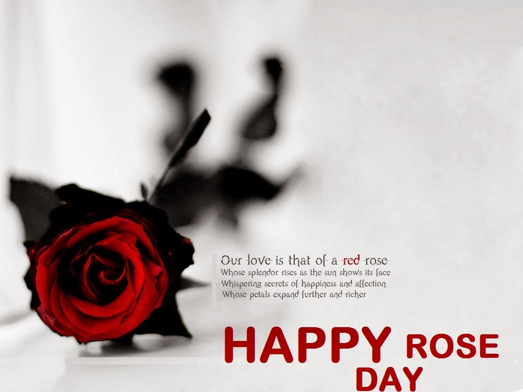 Rose Day Quotes For Husband - HD Wallpaper 