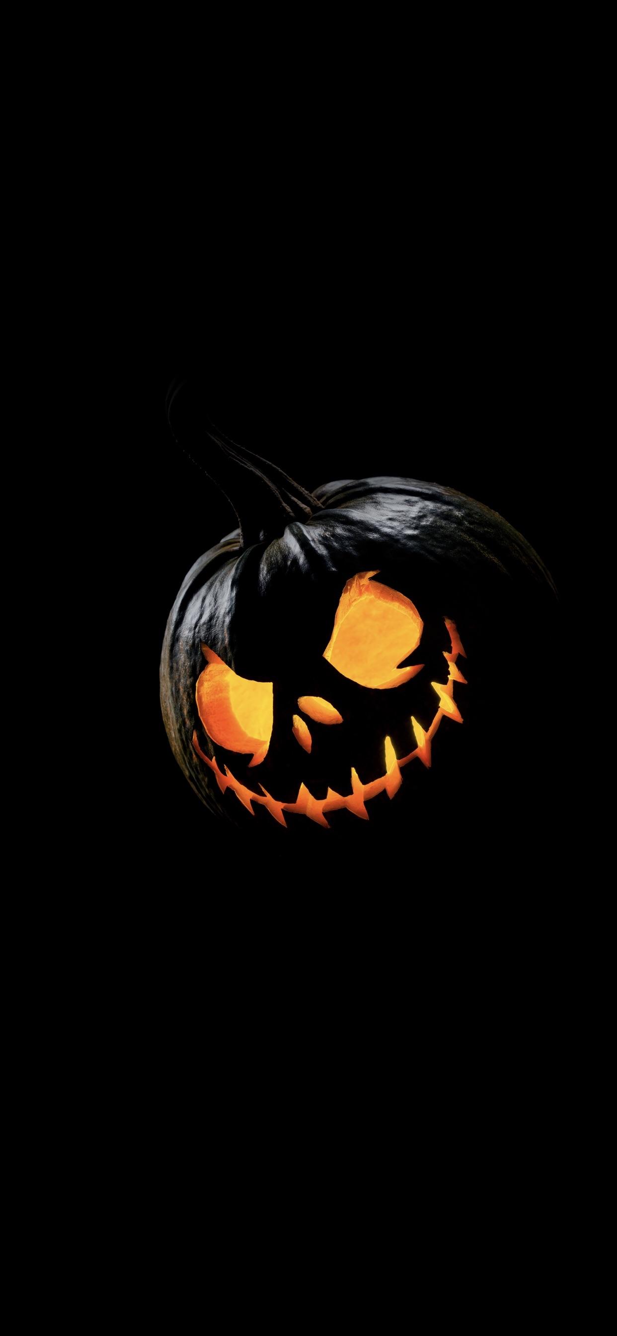 Pumpkin - HD Wallpaper 