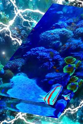 Download Android Apk Aquarium Live Wallpaper Hd - Live Smoke - HD Wallpaper 