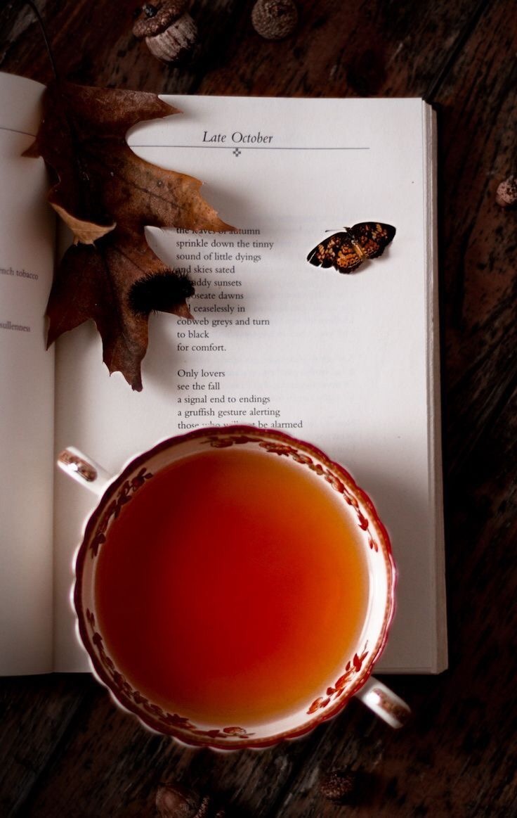 Image - Autumn Tea - HD Wallpaper 