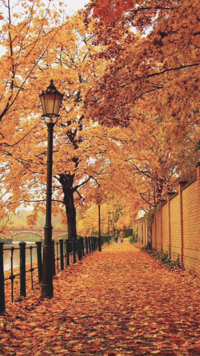 Berlin Autumn - HD Wallpaper 