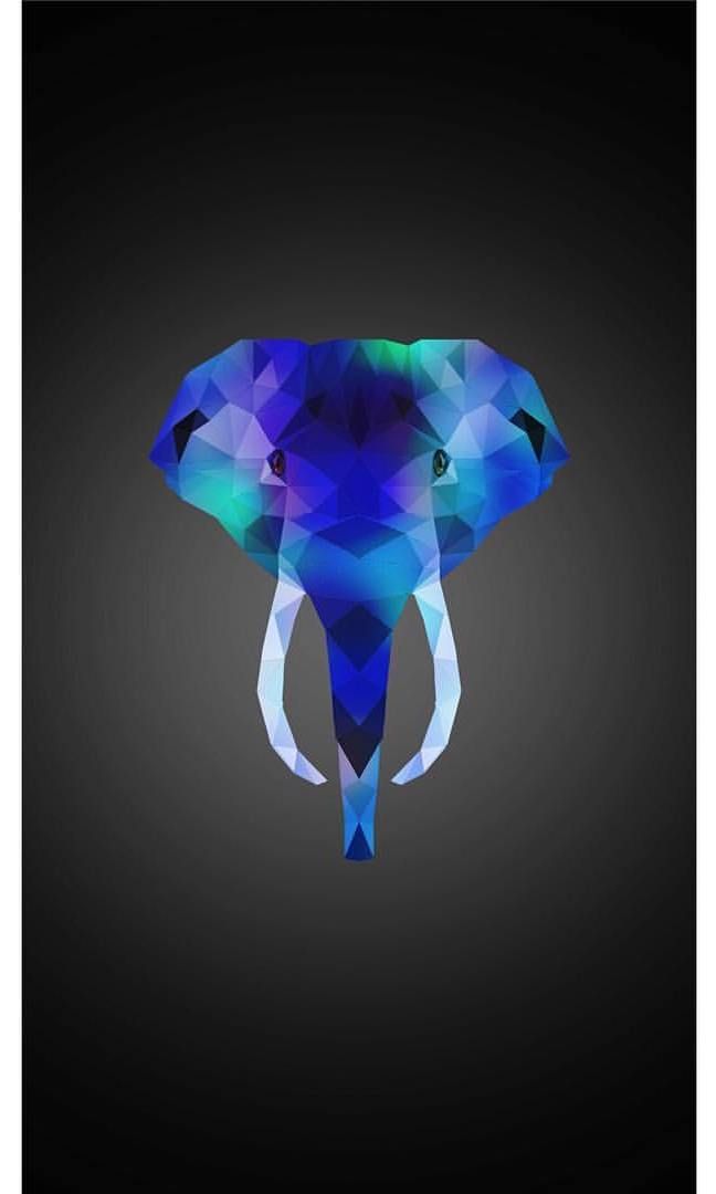 Wallpaper - HD Wallpaper 