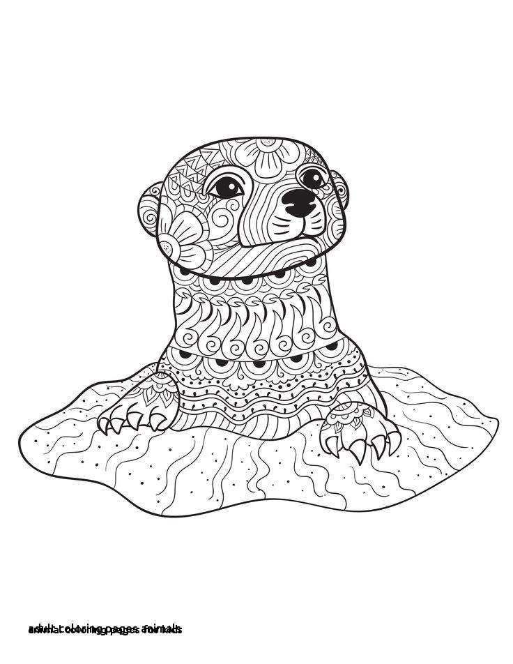 Pics Owl Free New Animal Coloring Pages For Kids Free - Printable Cute Otter Coloring Pages - HD Wallpaper 