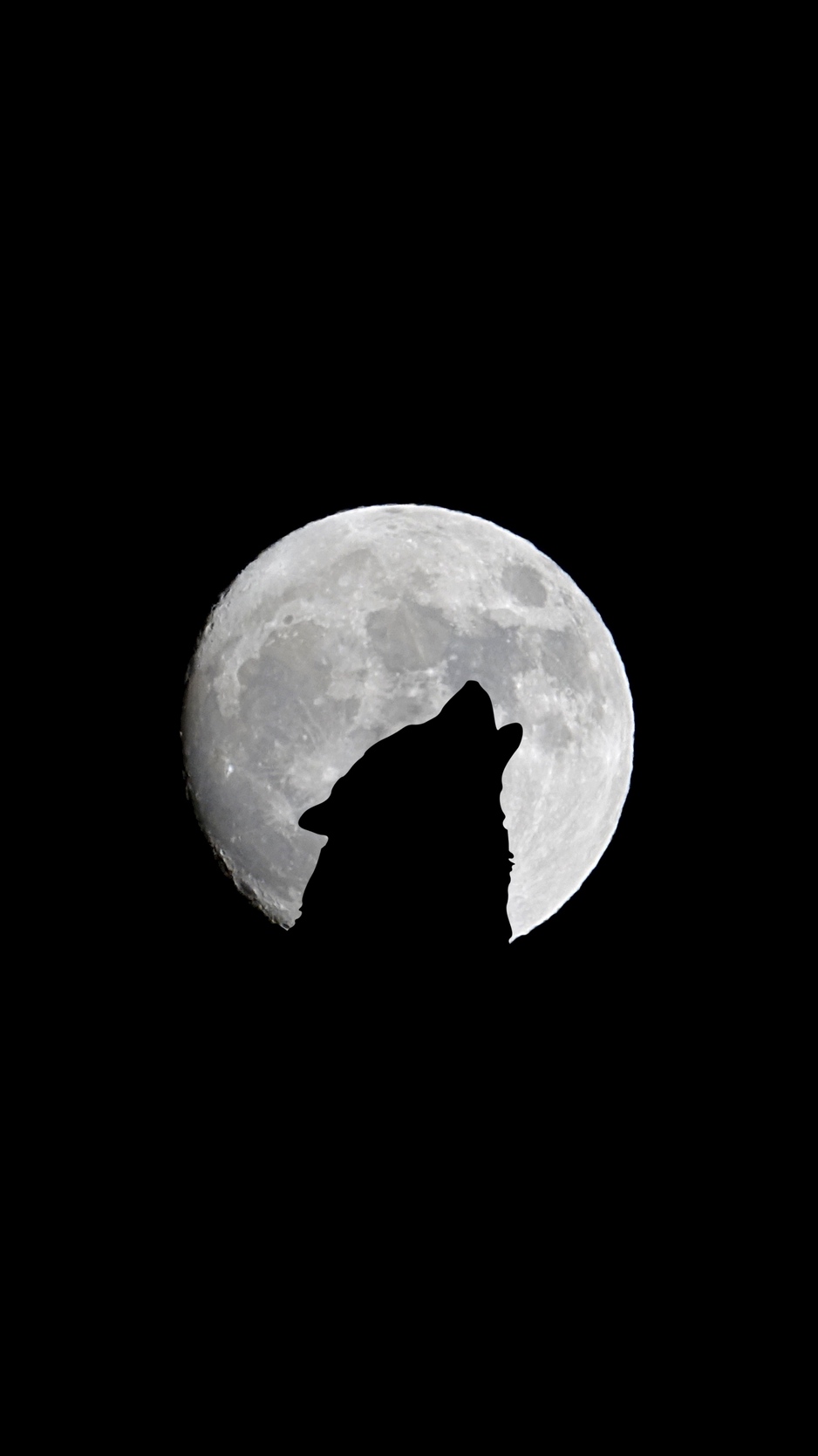 Wallpaper Full Moon, Wolf, Howl, Bw - Black Wolf With Galaxy Background - HD Wallpaper 