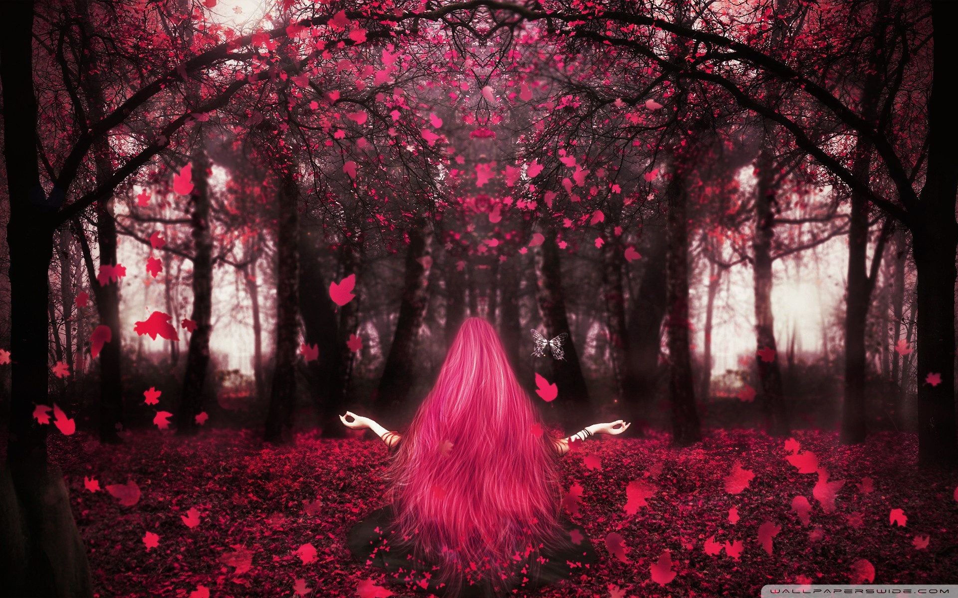 Nature Magic Wallpaper Hd - HD Wallpaper 