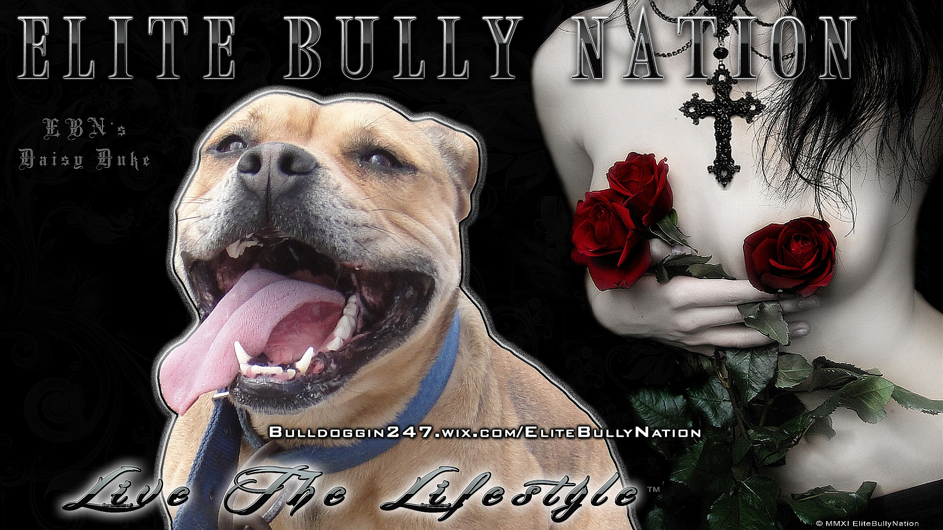 High Definition Pitbull Wallpaper 
 Data-src /w/full/a/8/7/254790 - Goth Girl - HD Wallpaper 