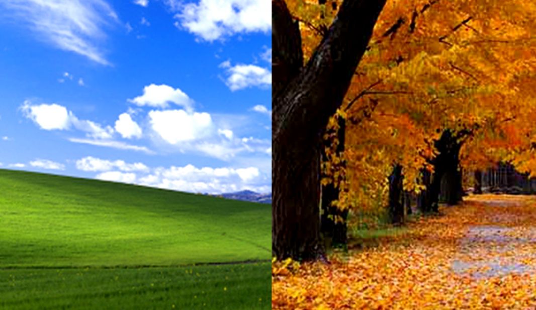 $100000 Vs $45 The Differences Paid To The Photographers - Autumn Wallpaper Windows Xp - HD Wallpaper 
