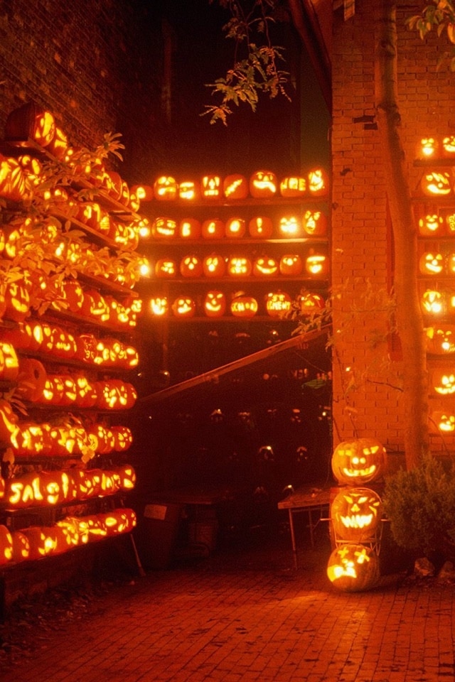 Hd Cool Halloween Pumpkins Iphone 4 Wallpapers - Halloween Party Light Ideas - HD Wallpaper 