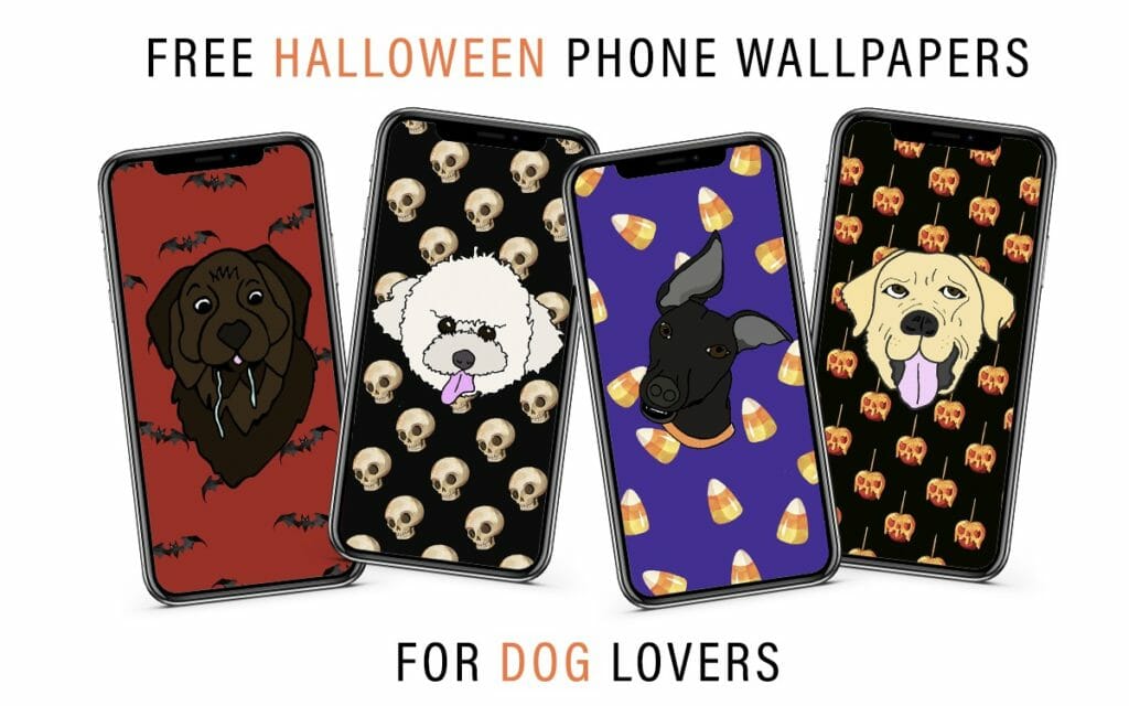 Cartoon - HD Wallpaper 