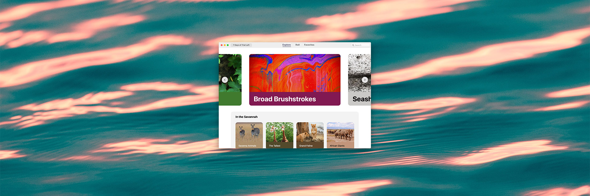 Book Cover - HD Wallpaper 