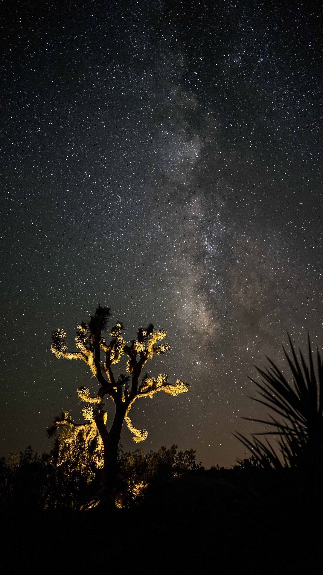 Desert Stars Night Desert - Night Desert Wallpaper Iphone - HD Wallpaper 