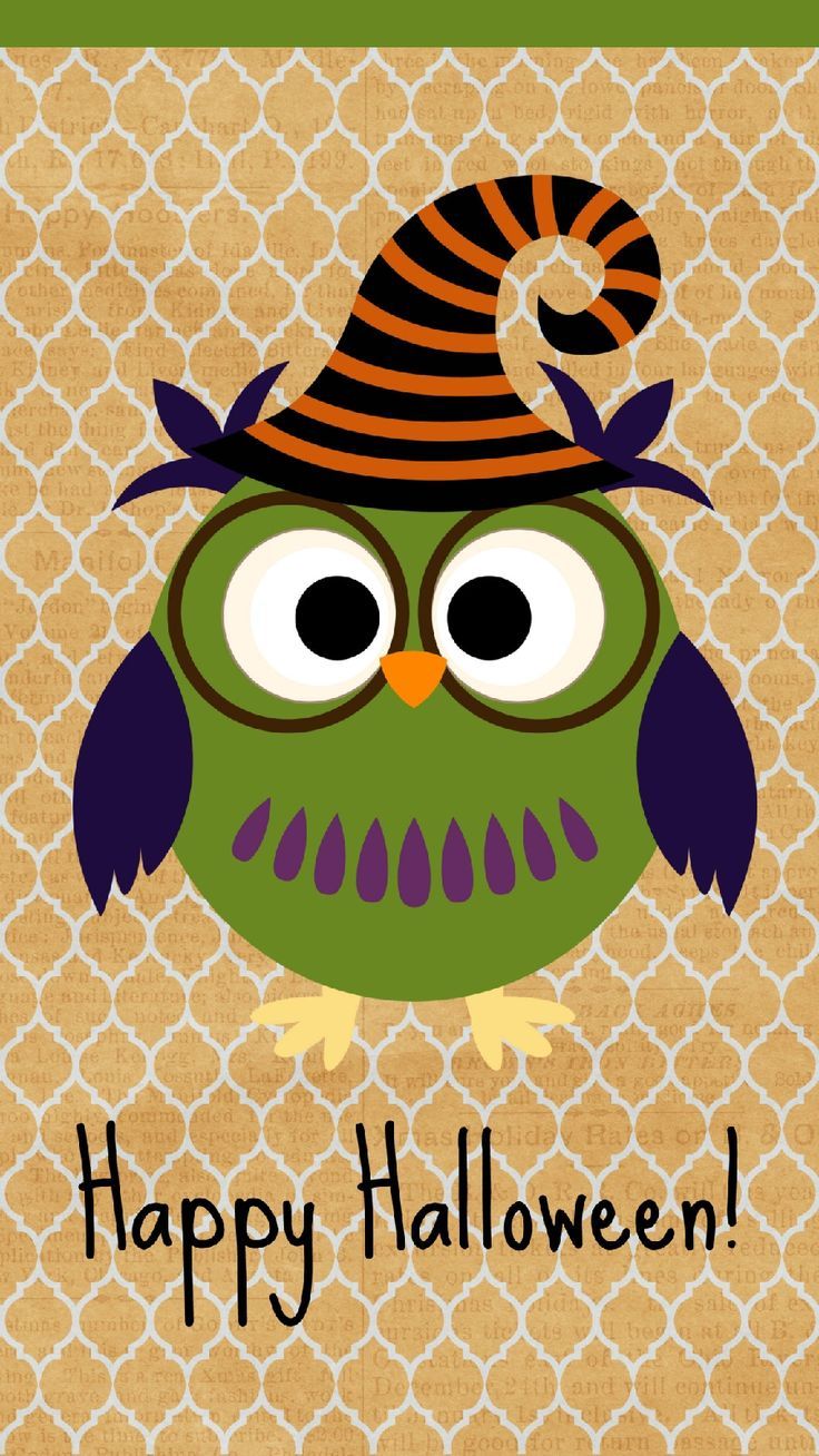 69 Best Phone Wallpaper Images - Cute Halloween Iphone Wallpaper Owl - HD Wallpaper 