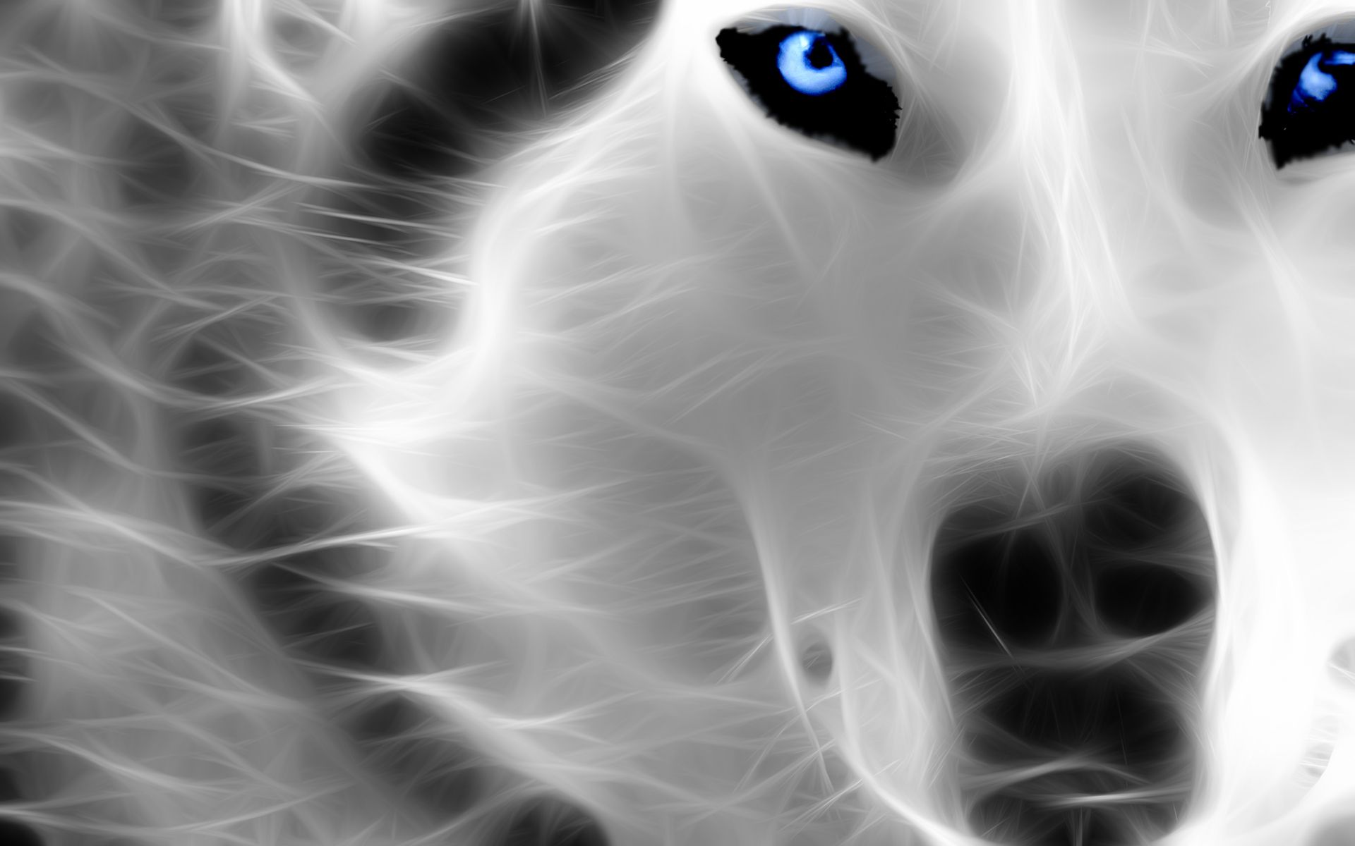 Wolf Neon Cool Backgrounds - HD Wallpaper 