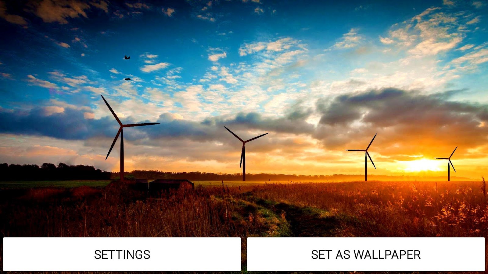 Free Fine Windmill Pictures Images, Jerrell Fleenor - HD Wallpaper 