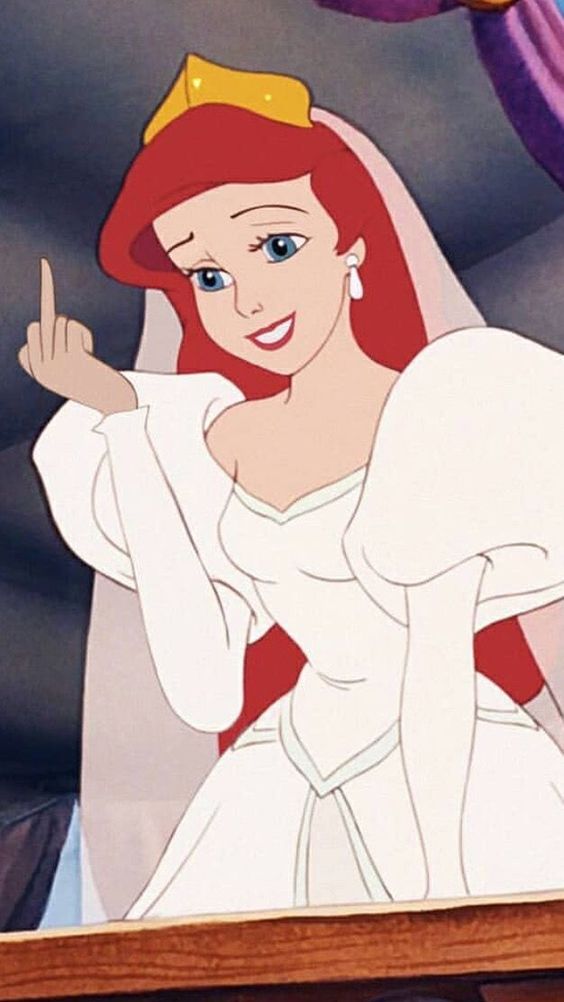 35 Funny Iphone Lock Screen Wallpaper Ideas For You - Disney Princess Middle Finger - HD Wallpaper 